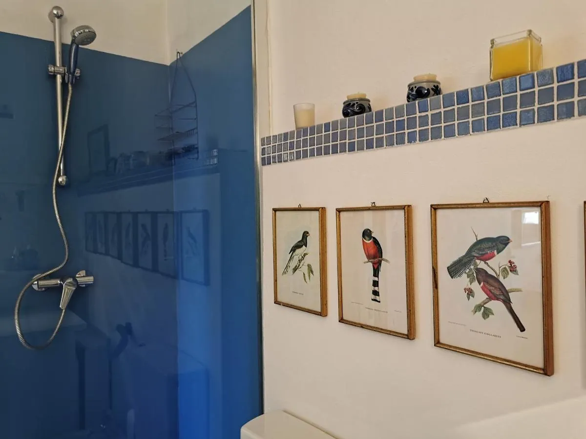 Karol Apartment Cannes